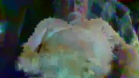larryw01 online show from June 10, 1:40 pm