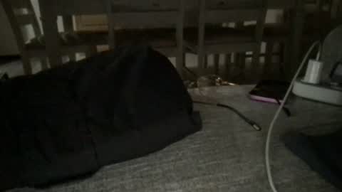latinopapi33 online show from August 16, 2:48 am
