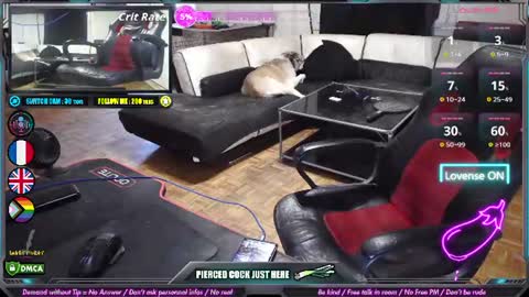 Leek online show from August 8, 11:54 am