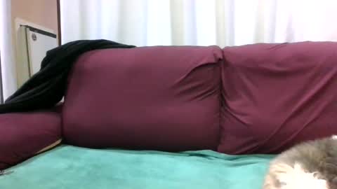 kelly online show from August 9, 10:11 pm