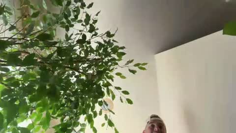 leaderzac online show from August 7, 11:38 pm
