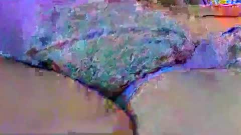 ledmax07 online show from April 13, 3:31 am