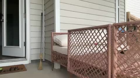 leexxx_69 online show from August 12, 10:56 pm