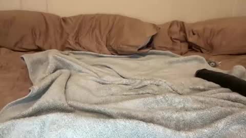 leexxx_69 online show from August 14, 5:22 am
