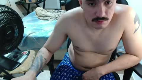 leonino231 online show from August 6, 2:43 am