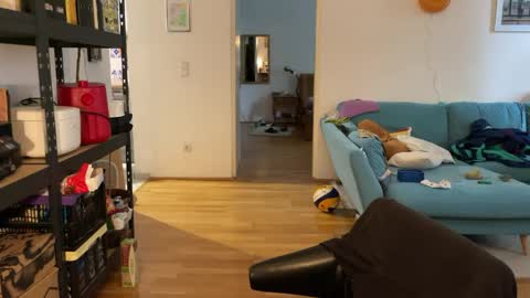 Leon online show from June 9, 4:46 pm