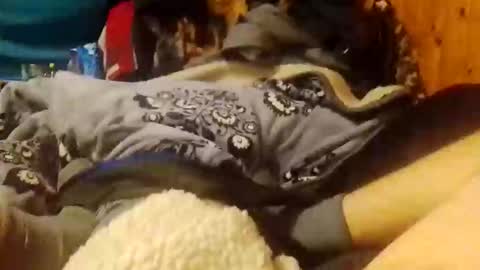 lepos_34 online show from May 9, 3:20 am
