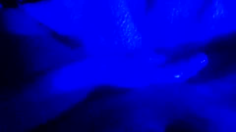 lepos_34 online show from May 24, 12:46 am