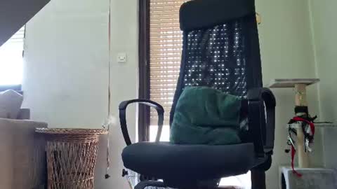 Mr. Letter online show from August 15, 1:48 pm
