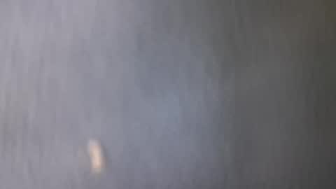 lexndemm11 online show from April 24, 7:01 am