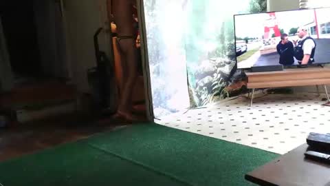 Romel online show from May 24, 3:48 pm