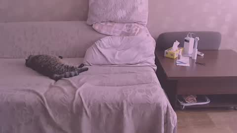 liahsofty online show from August 6, 12:26 pm