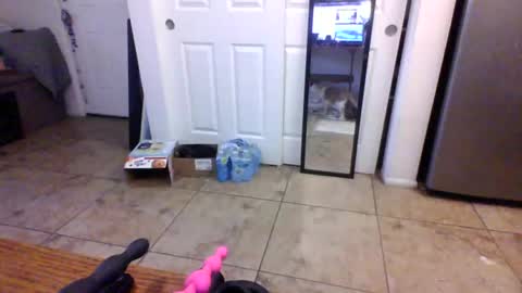 lilpackage69 online show from July 28, 9:32 pm