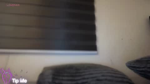 LILY online show from August 2, 8:27 pm