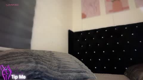 LILY online show from August 13, 2:47 am
