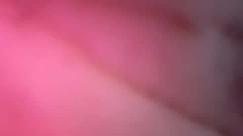 lilysette online show from August 14, 9:02 am