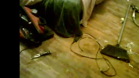 Richie Rich online show from July 31, 4:56 pm
