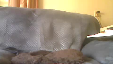 lion160868 online show from June 17, 9:41 am
