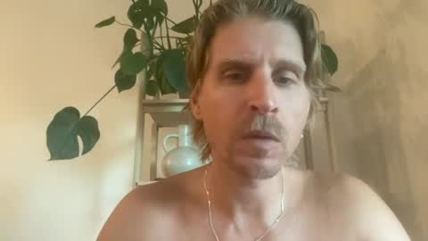 lion2244 online show from August 8, 2:00 am