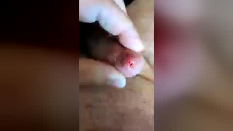 Littledickhypo online show from July 9, 9:47 am