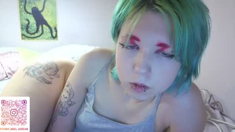 Little Kitten Star online show from August 4, 9:34 pm