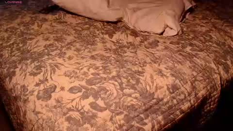 Little Willa online show from June 27, 12:36 am