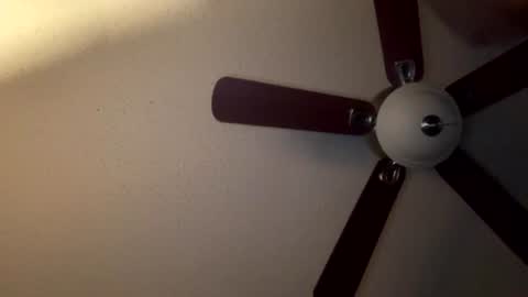 selffuck online show from August 2, 8:43 am