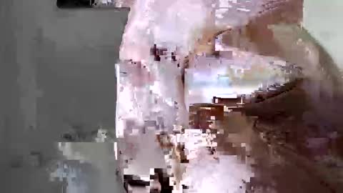 lllortx online show from May 15, 3:45 pm