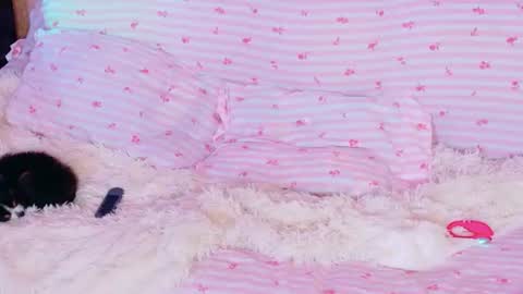 llovelymia online show from July 30, 4:31 am