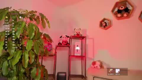 Lola online show from July 31, 12:50 am