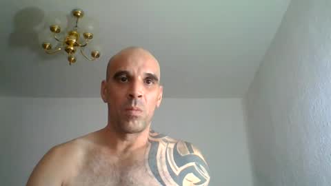 lolotatto online show from August 12, 2:19 pm