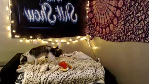 londonray online show from August 14, 3:32 am