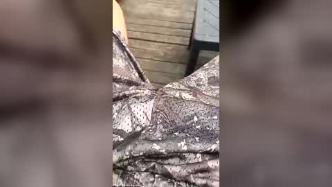 Long boy  online show from August 15, 10:52 am