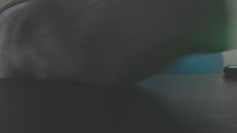 loonerboy1 online show from March 26, 3:38 pm