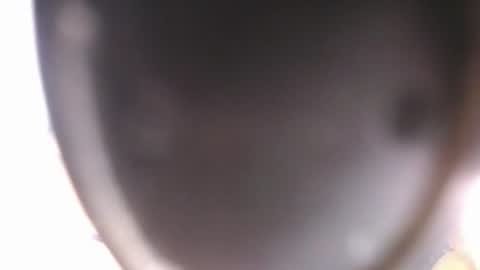 lorec_00 online show from July 28, 11:44 pm