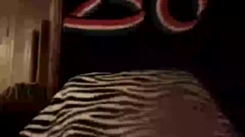 Lou Suffer online show from August 12, 9:44 am
