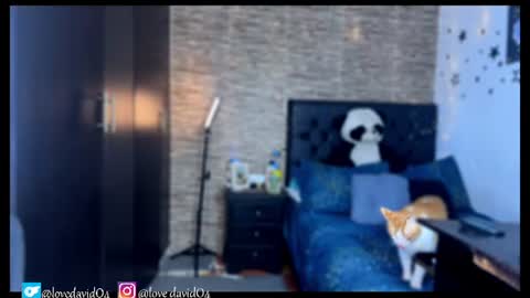 Angel David online show from August 14, 12:03 am