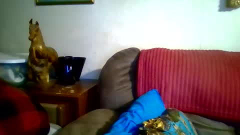 David online show from April 22, 10:51 am