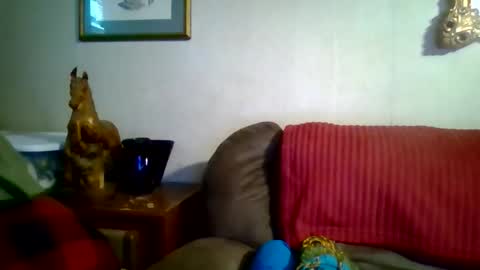 David online show from April 26, 10:17 pm