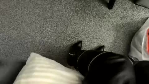 lthomo_98 online show from August 1, 7:42 pm