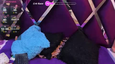Luci online show from August 13, 9:51 pm
