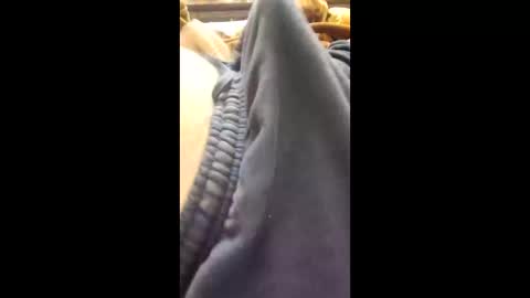 luckyfalcon2022 online show from February 18, 6:54 am