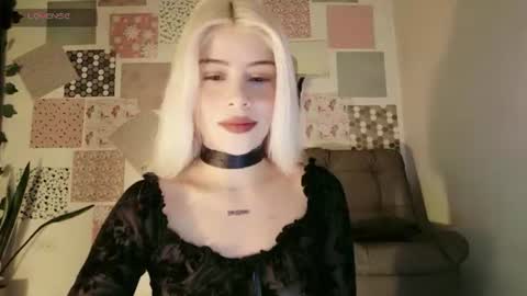 independent model not web cam studio online show from August 14, 10:41 am