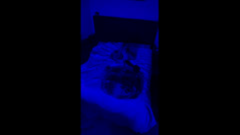 luggijack online show from March 1, 3:58 am