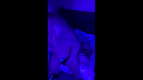 luggijack online show from March 3, 5:15 am