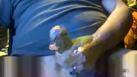 lumber__jerk online show from June 7, 9:36 am
