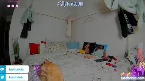 LOLA online show from August 2, 12:39 am
