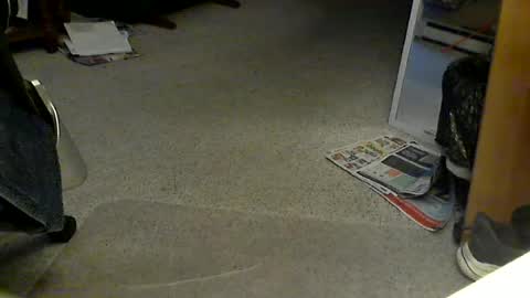 lynne1_cd_nj online show from August 16, 11:53 pm