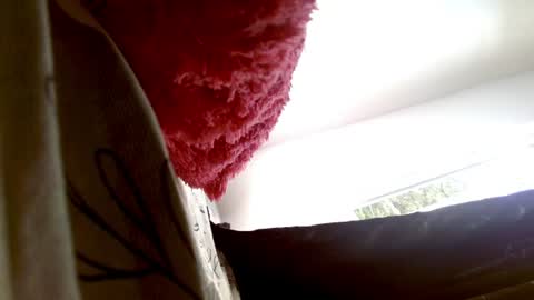 maaddy_thompson online show from June 27, 8:00 pm