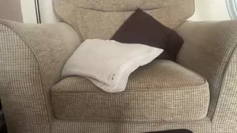 Ivor online show from July 24, 4:21 pm